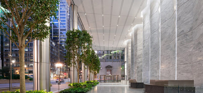 LindenLLC Office
